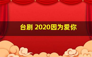 台剧 2020因为爱你